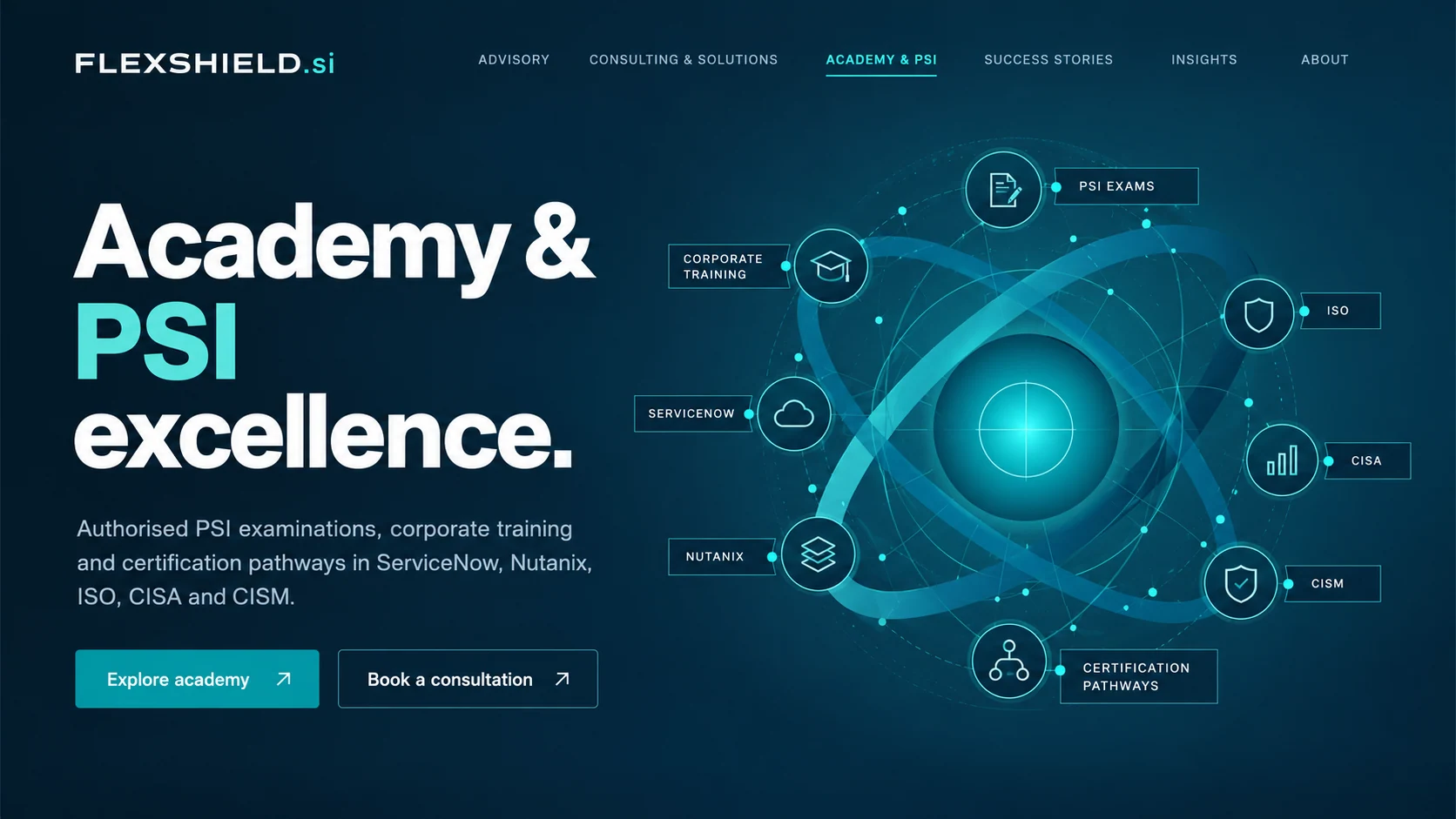FLEXSHIELD conceptual enterprise visualization
