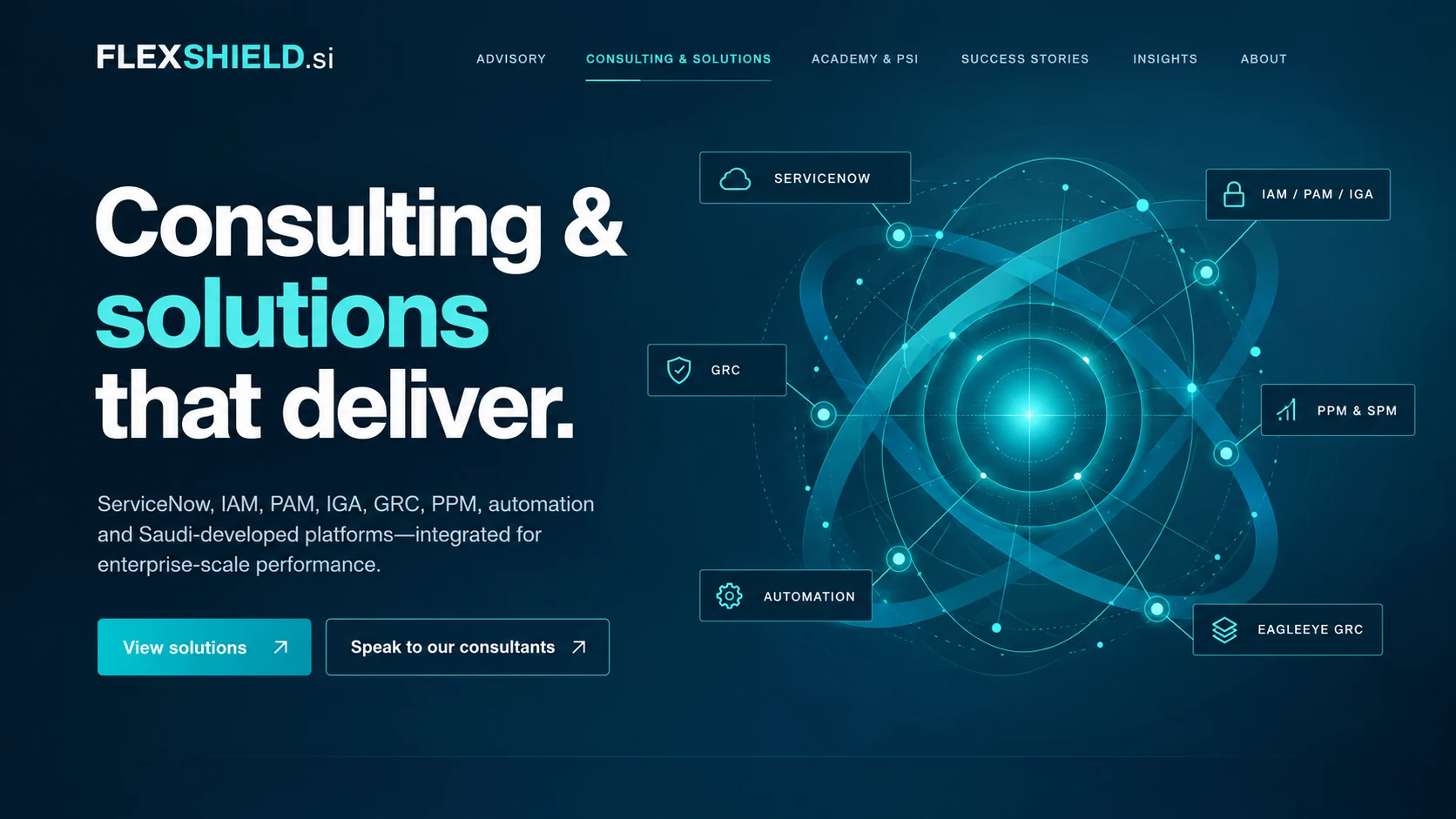FLEXSHIELD conceptual enterprise visualization